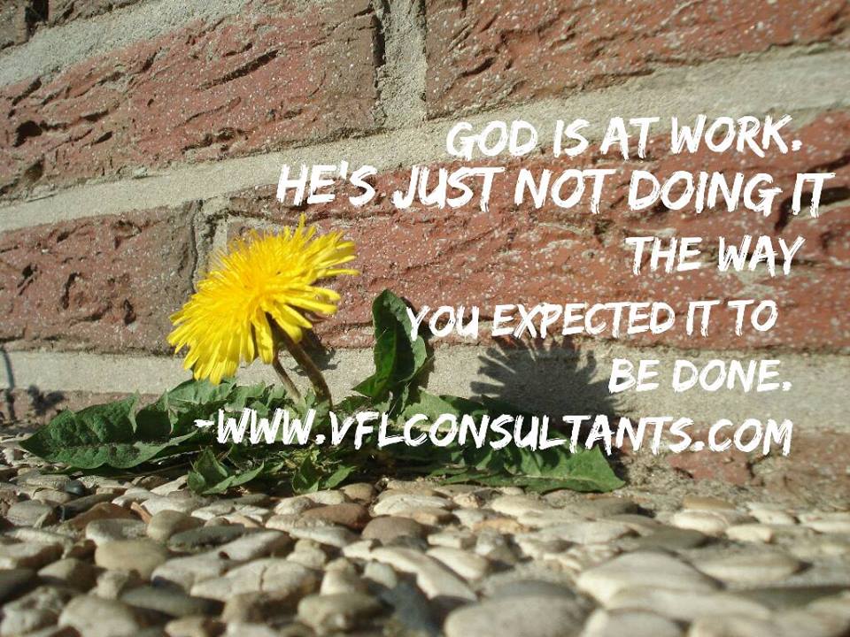 13707624_655231887975584_3713681035594032548_n