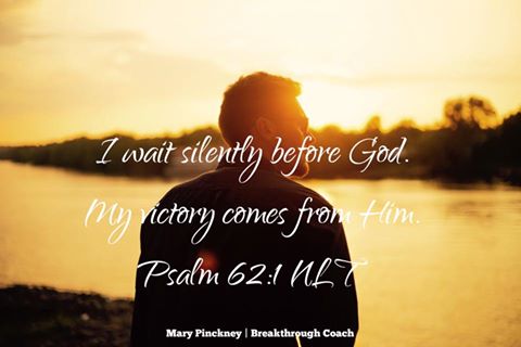 19437251_1298173436948172_7361862428792294386_n