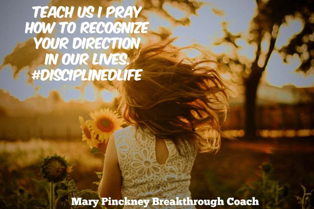 32484640_1598642360234610_528641368113807360_n